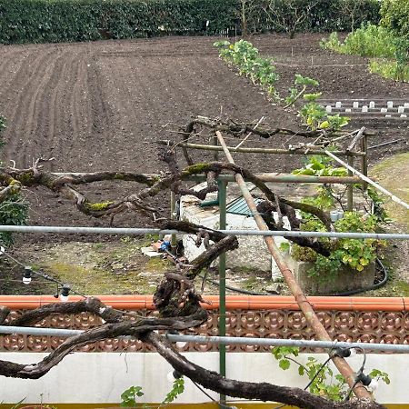 Casinha da Avó Rosário Apartman Juncal  Kültér fotó