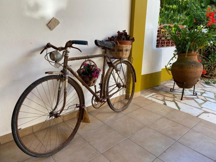 Casinha da Avó Rosário Apartman Juncal  Kültér fotó