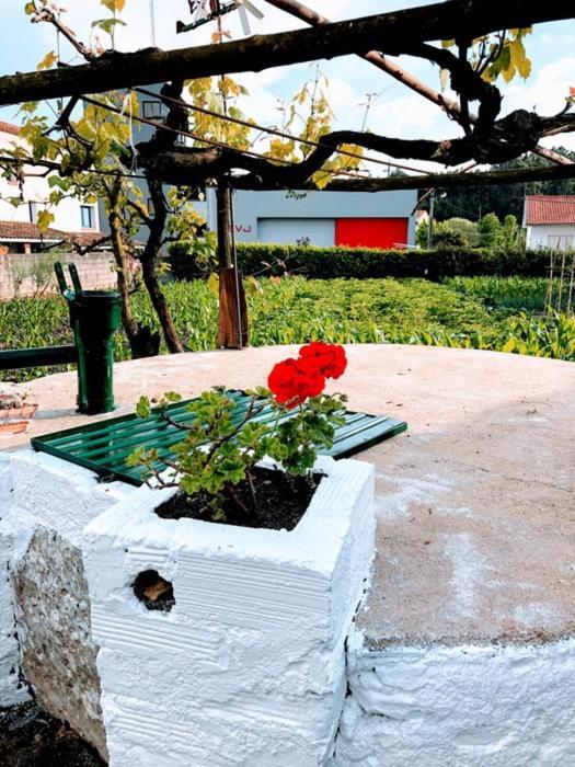 Casinha da Avó Rosário Apartman Juncal  Kültér fotó